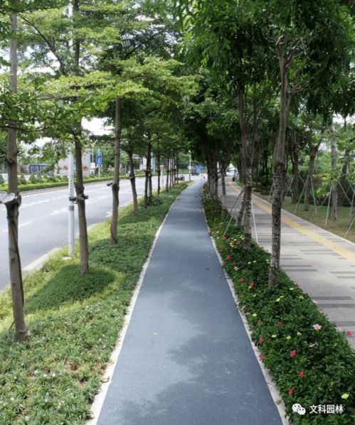 城市公共空间绿化的效益分析